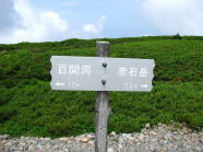 ܂Sԕ